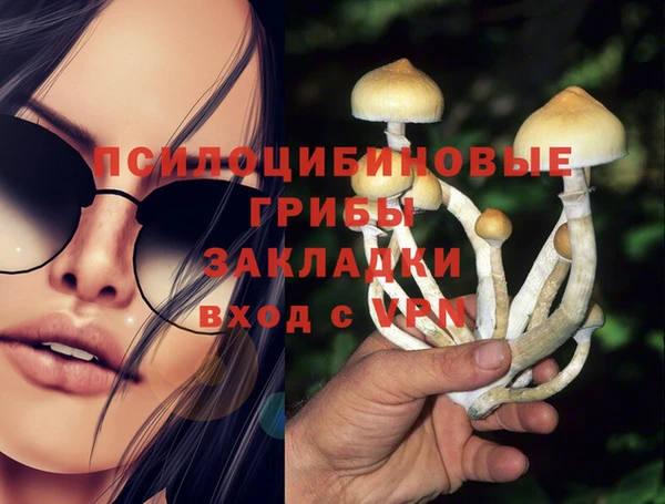 гидропоника Дмитров